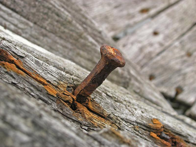 Learn why periodic trunk inspections help avoid long-term rust damage and decay.
