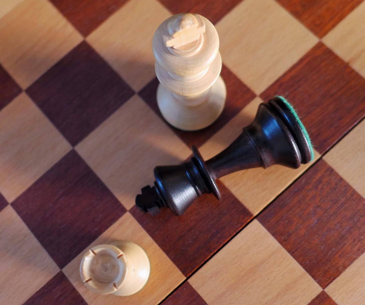Chess, denksport, mind game — North Carolina Sports Card Shows With Top Trading Events Driving Collector Growth and Market Ac